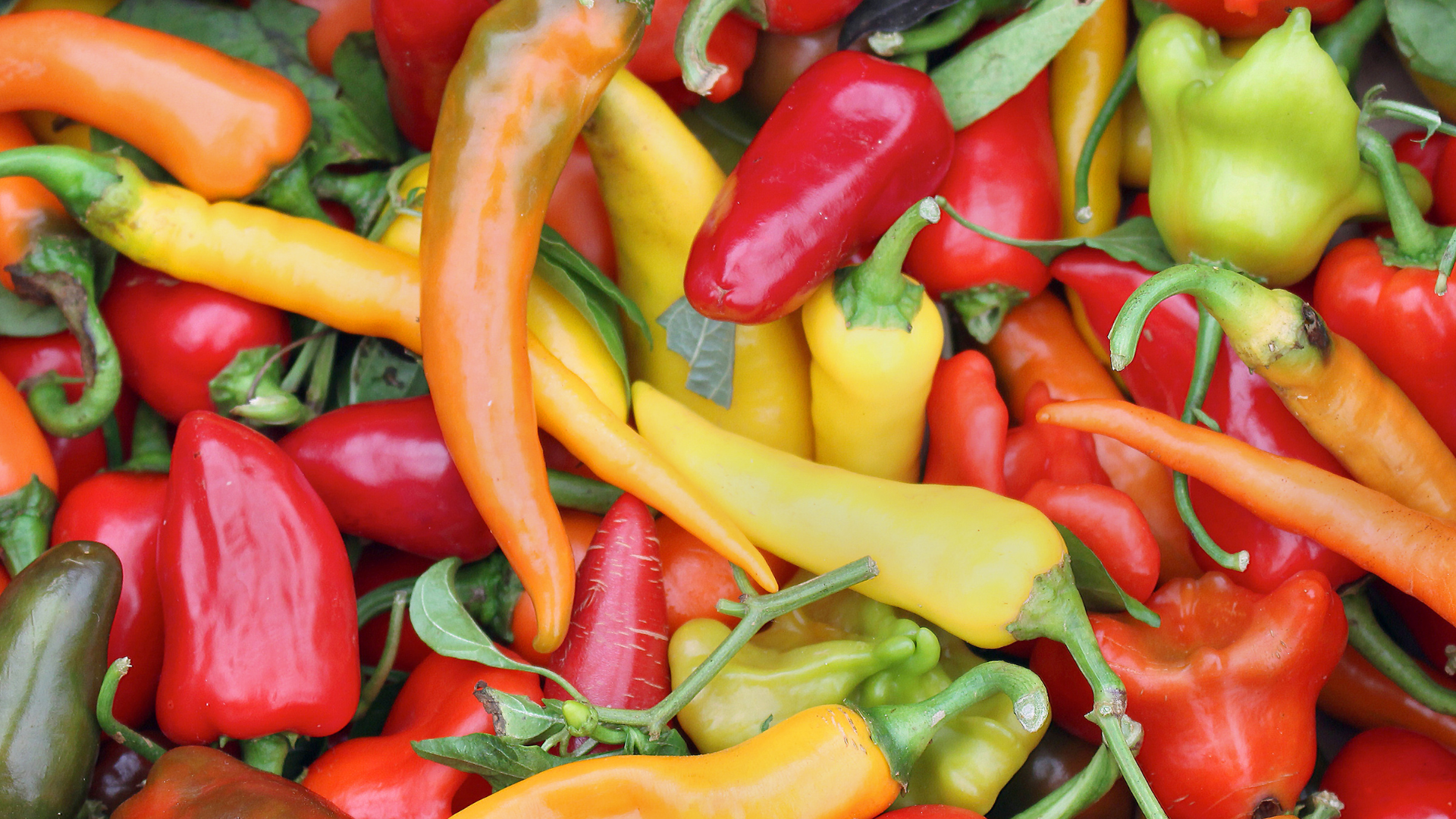 Hot Peppers