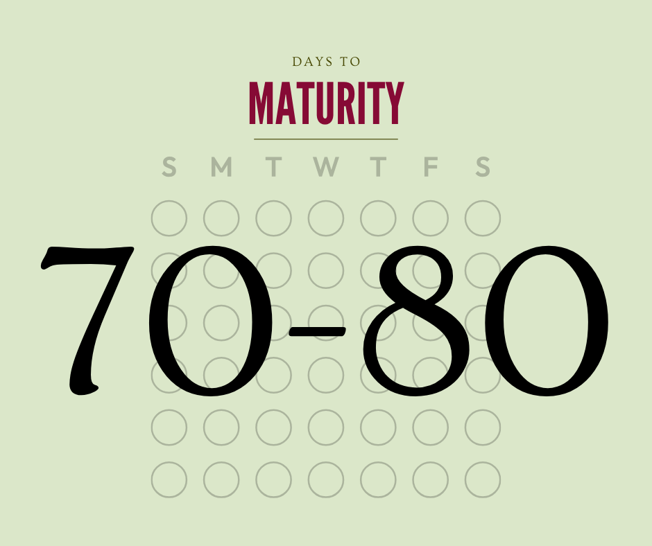 Calendar with 70 to 80 days to maturity on a light green background