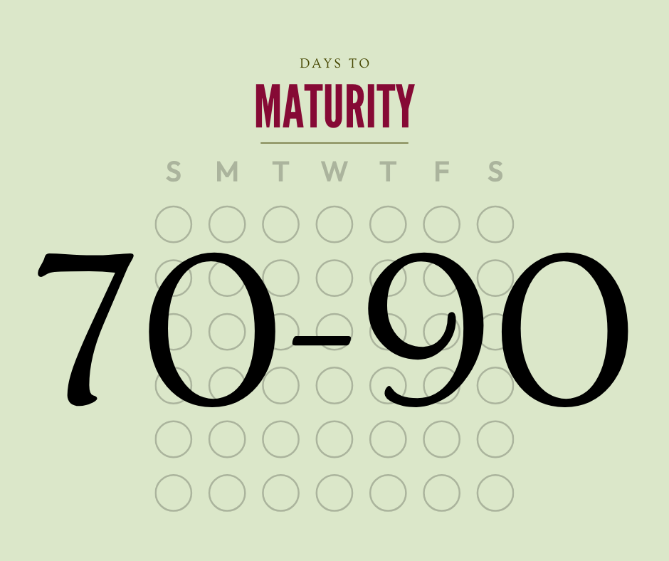 Calendar with 70-90 days to maturity on a light green background.