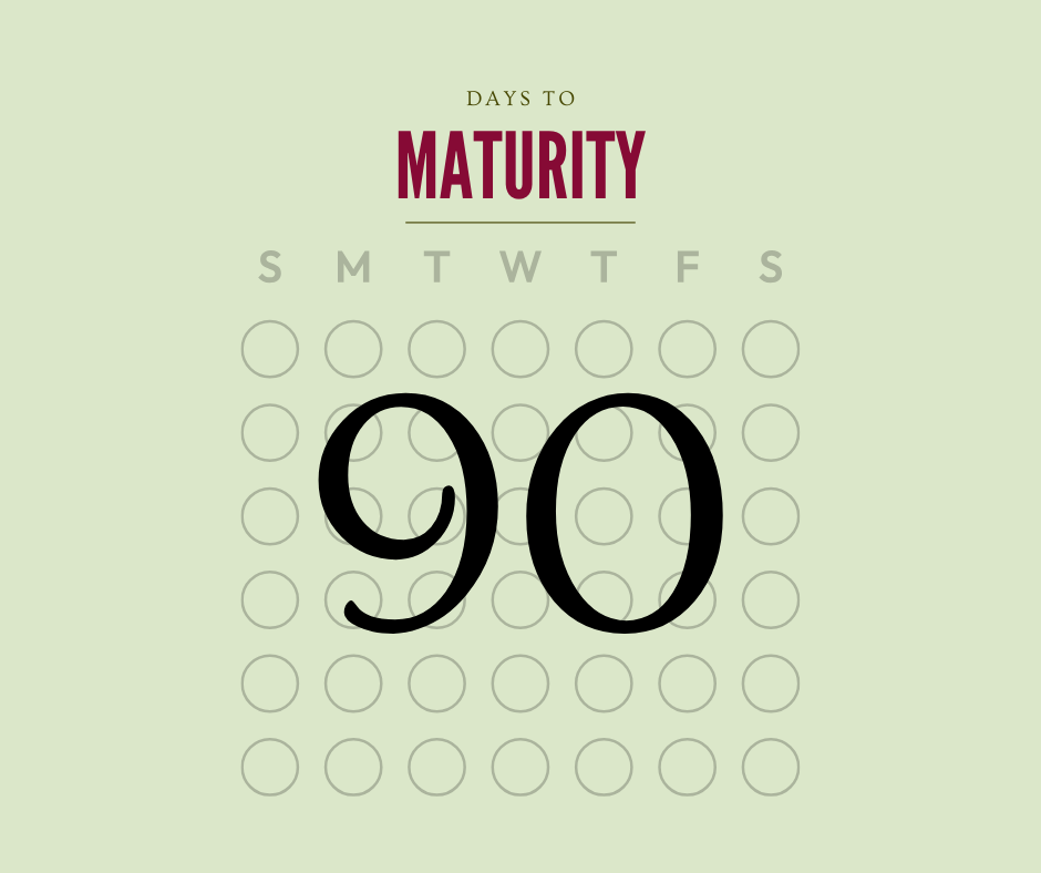 Calendar with 90 days to maturity on a light green background.