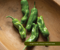 Green peppers on a wooden surface. Image credited to Johnny's Selected Seeds.